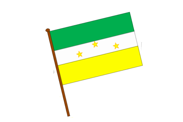 Bandera Institucional